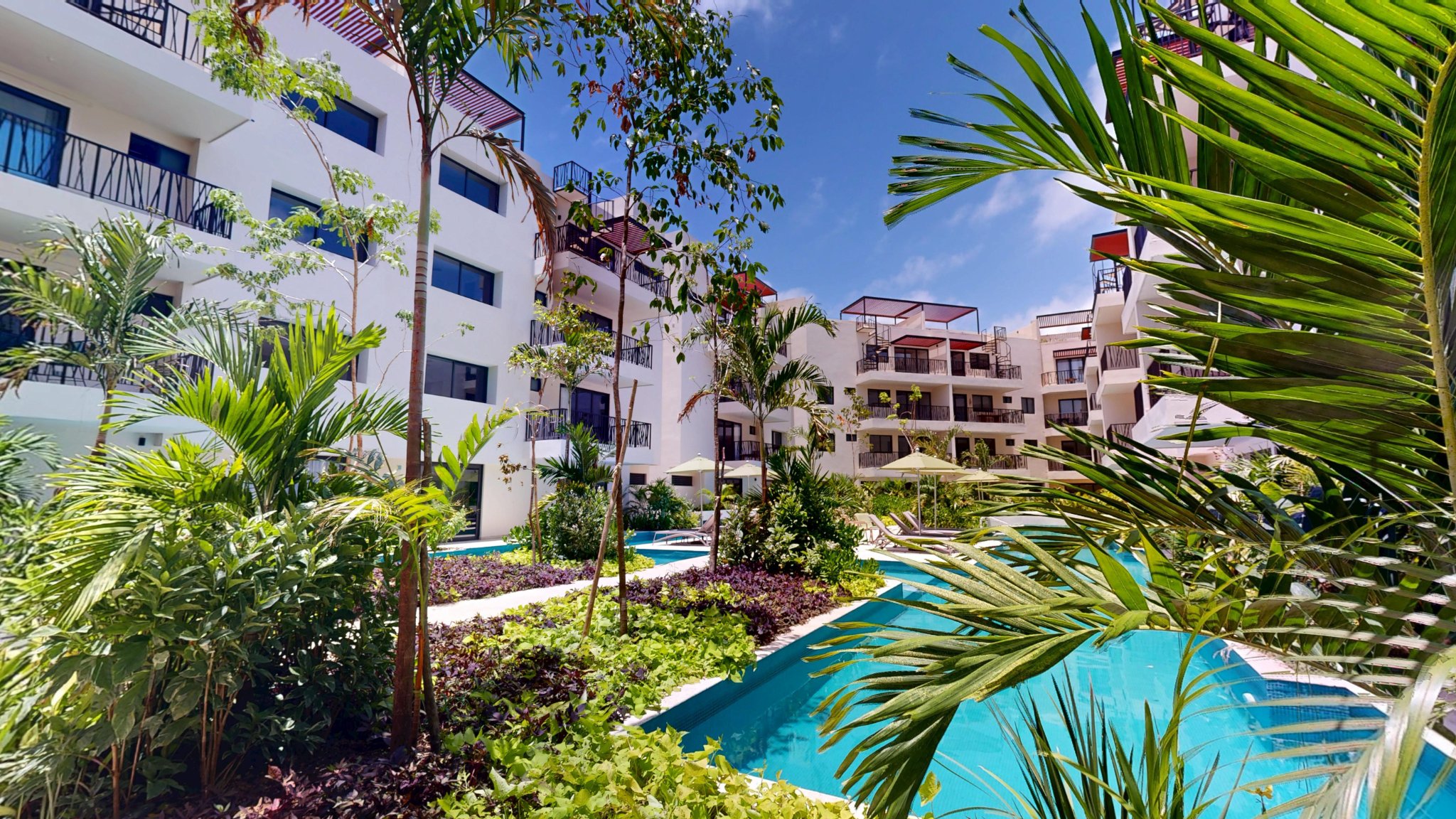 Costa Caribe 2