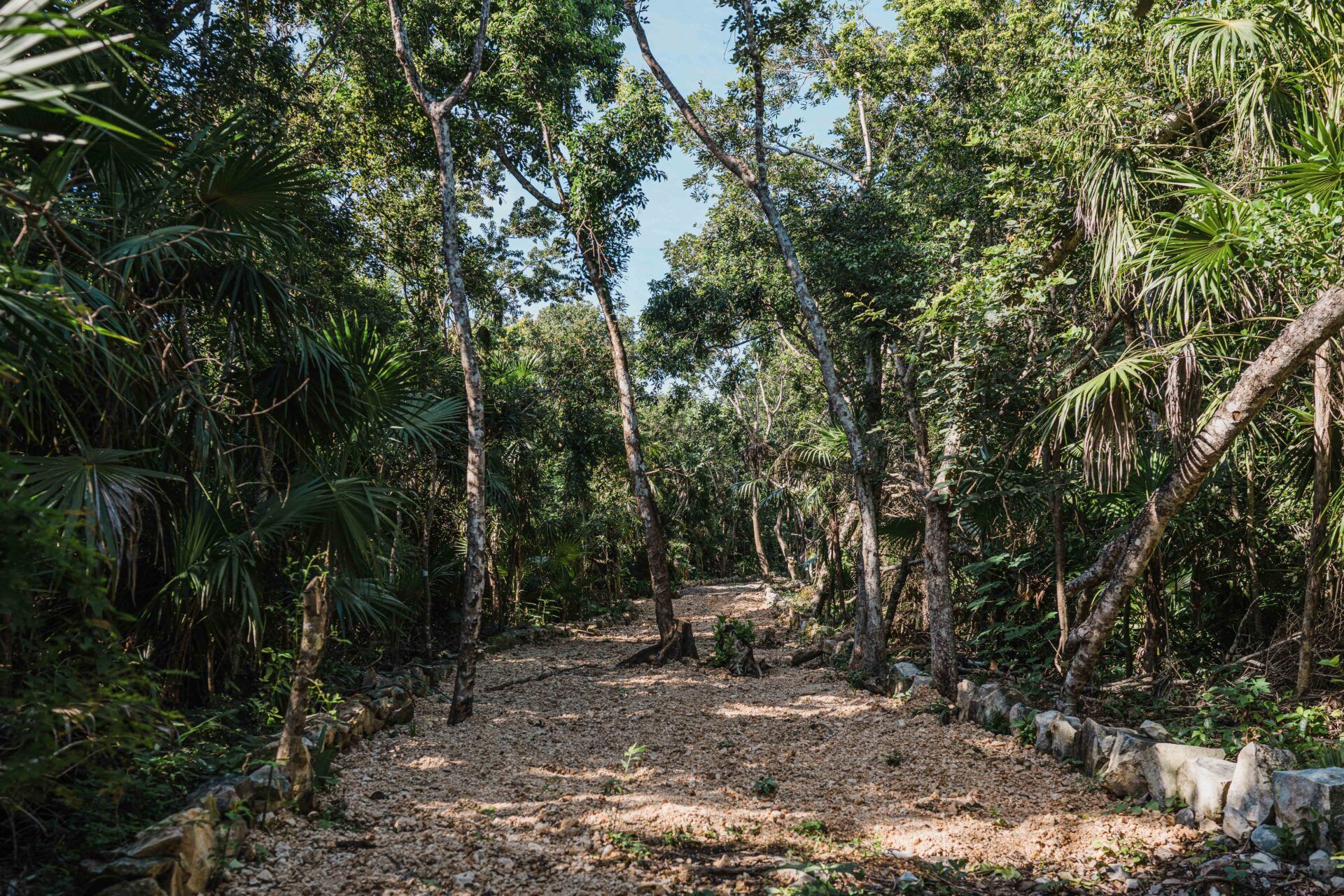TERRENO BEACHFRONT (17.5HA) 7