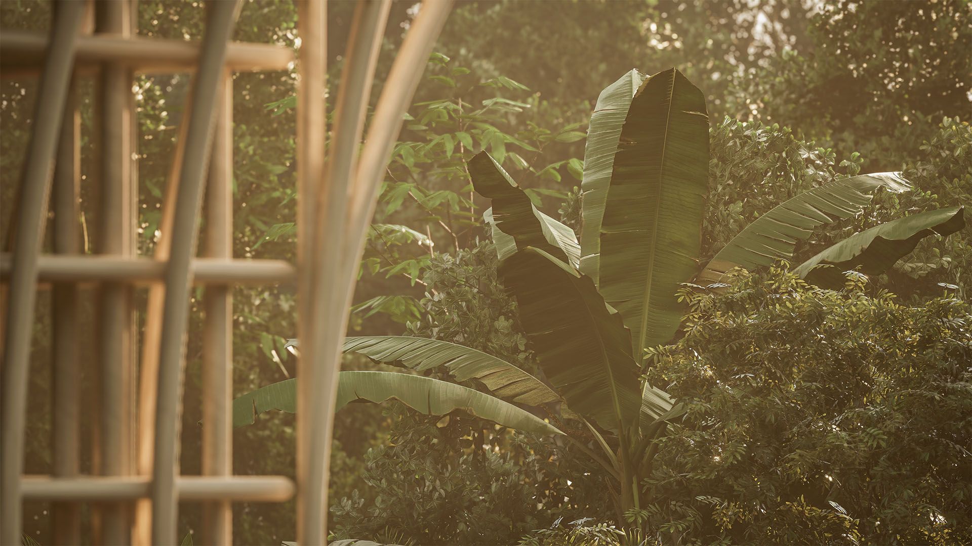 UXAN TULUM 45